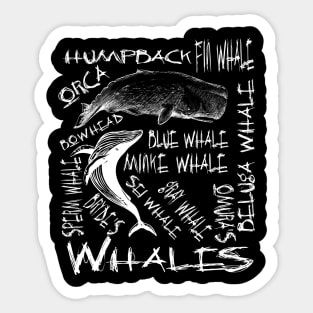 Whales T Shirt and Gifts Ideas Marine Biology Marine Biologist Shirt Sticker